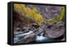 USA, Utah, Zion National Park. Canyon Waterfall with Cottonwood Trees-Jaynes Gallery-Framed Stretched Canvas