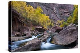 USA, Utah, Zion National Park. Canyon Waterfall with Cottonwood Trees-Jaynes Gallery-Stretched Canvas