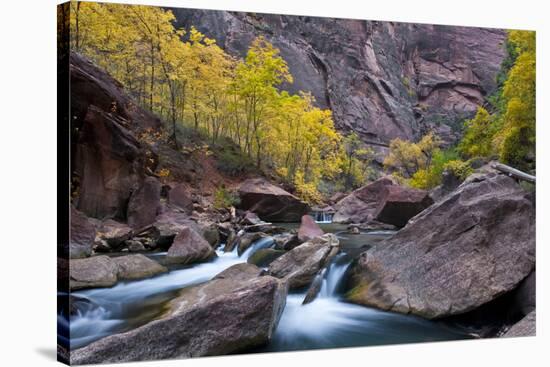 USA, Utah, Zion National Park. Canyon Waterfall with Cottonwood Trees-Jaynes Gallery-Stretched Canvas