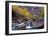 USA, Utah, Zion National Park. Canyon Waterfall with Cottonwood Trees-Jaynes Gallery-Framed Photographic Print