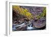 USA, Utah, Zion National Park. Canyon Waterfall with Cottonwood Trees-Jaynes Gallery-Framed Photographic Print