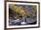 USA, Utah, Zion National Park. Canyon Waterfall with Cottonwood Trees-Jaynes Gallery-Framed Photographic Print