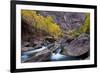 USA, Utah, Zion National Park. Canyon Waterfall with Cottonwood Trees-Jaynes Gallery-Framed Photographic Print