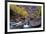 USA, Utah, Zion National Park. Canyon Waterfall with Cottonwood Trees-Jaynes Gallery-Framed Photographic Print