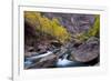 USA, Utah, Zion National Park. Canyon Waterfall with Cottonwood Trees-Jaynes Gallery-Framed Photographic Print