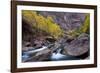 USA, Utah, Zion National Park. Canyon Waterfall with Cottonwood Trees-Jaynes Gallery-Framed Photographic Print