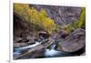 USA, Utah, Zion National Park. Canyon Waterfall with Cottonwood Trees-Jaynes Gallery-Framed Photographic Print