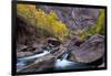 USA, Utah, Zion National Park. Canyon Waterfall with Cottonwood Trees-Jaynes Gallery-Framed Photographic Print