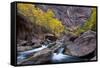 USA, Utah, Zion National Park. Canyon Waterfall with Cottonwood Trees-Jaynes Gallery-Framed Stretched Canvas