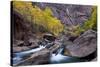 USA, Utah, Zion National Park. Canyon Waterfall with Cottonwood Trees-Jaynes Gallery-Stretched Canvas