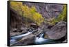 USA, Utah, Zion National Park. Canyon Waterfall with Cottonwood Trees-Jaynes Gallery-Framed Stretched Canvas