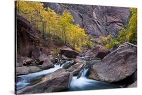 USA, Utah, Zion National Park. Canyon Waterfall with Cottonwood Trees-Jaynes Gallery-Stretched Canvas