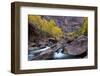 USA, Utah, Zion National Park. Canyon Waterfall with Cottonwood Trees-Jaynes Gallery-Framed Photographic Print