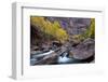 USA, Utah, Zion National Park. Canyon Waterfall with Cottonwood Trees-Jaynes Gallery-Framed Photographic Print