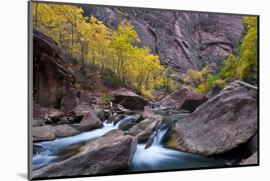 USA, Utah, Zion National Park. Canyon Waterfall with Cottonwood Trees-Jaynes Gallery-Mounted Photographic Print