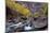 USA, Utah, Zion National Park. Canyon Waterfall with Cottonwood Trees-Jaynes Gallery-Mounted Photographic Print