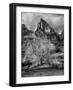 USA, Utah, Zion National Park. Cottonwood in winter-Ann Collins-Framed Photographic Print