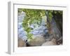 USA, Utah. Zion National Park, Cottonwood tree with the Virgin River-Jamie & Judy Wild-Framed Photographic Print