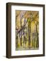 USA, Utah, Zion National Park, Cottonwood Trees-Jamie & Judy Wild-Framed Photographic Print