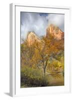 USA, Utah, Zion National Park, Court of the Patriarchs-Jamie & Judy Wild-Framed Photographic Print