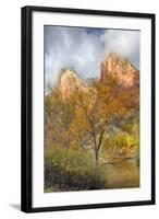 USA, Utah, Zion National Park, Court of the Patriarchs-Jamie & Judy Wild-Framed Photographic Print