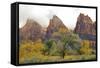 USA, Utah, Zion National Park, Court of the Patriarchs-Jamie & Judy Wild-Framed Stretched Canvas