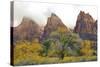 USA, Utah, Zion National Park, Court of the Patriarchs-Jamie & Judy Wild-Stretched Canvas