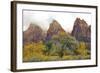USA, Utah, Zion National Park, Court of the Patriarchs-Jamie & Judy Wild-Framed Photographic Print