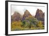 USA, Utah, Zion National Park, Court of the Patriarchs-Jamie & Judy Wild-Framed Photographic Print