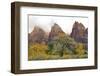 USA, Utah, Zion National Park, Court of the Patriarchs-Jamie & Judy Wild-Framed Photographic Print