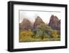 USA, Utah, Zion National Park, Court of the Patriarchs-Jamie & Judy Wild-Framed Photographic Print