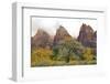 USA, Utah, Zion National Park, Court of the Patriarchs-Jamie & Judy Wild-Framed Photographic Print