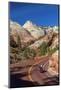 Usa, Utah, Zion National Park, Highway 9, Zion Park Boulevard-Alan Copson-Mounted Photographic Print