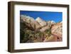 Usa, Utah, Zion National Park, Highway 9, Zion Park Boulevard-Alan Copson-Framed Photographic Print