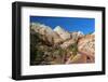 Usa, Utah, Zion National Park, Highway 9, Zion Park Boulevard-Alan Copson-Framed Photographic Print