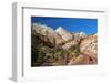 Usa, Utah, Zion National Park, Highway 9, Zion Park Boulevard-Alan Copson-Framed Photographic Print