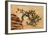 USA, Utah, Zion National Park. Pine Tree Growing Out of Red Rocks-Jaynes Gallery-Framed Photographic Print