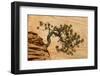 USA, Utah, Zion National Park. Pine Tree Growing Out of Red Rocks-Jaynes Gallery-Framed Photographic Print