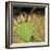 USA, Utah. Zion National Park, Prickly Pear Cactus-Jamie & Judy Wild-Framed Photographic Print