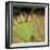 USA, Utah. Zion National Park, Prickly Pear Cactus-Jamie & Judy Wild-Framed Photographic Print