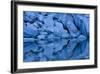USA, Utah, Zion National Park. Rock Reflection in Upper Emerald Pool-Jaynes Gallery-Framed Photographic Print