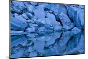 USA, Utah, Zion National Park. Rock Reflection in Upper Emerald Pool-Jaynes Gallery-Mounted Photographic Print