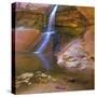 USA, Utah, Zion National Park. Small Waterfall Forms Pool-Jaynes Gallery-Stretched Canvas
