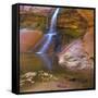 USA, Utah, Zion National Park. Small Waterfall Forms Pool-Jaynes Gallery-Framed Stretched Canvas