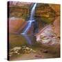 USA, Utah, Zion National Park. Small Waterfall Forms Pool-Jaynes Gallery-Stretched Canvas