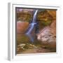 USA, Utah, Zion National Park. Small Waterfall Forms Pool-Jaynes Gallery-Framed Photographic Print