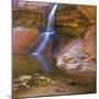 USA, Utah, Zion National Park. Small Waterfall Forms Pool-Jaynes Gallery-Mounted Photographic Print