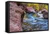 USA, Utah, Zion National Park. Stream in Autumn Landscape-Jay O'brien-Framed Stretched Canvas