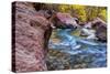 USA, Utah, Zion National Park. Stream in Autumn Landscape-Jay O'brien-Stretched Canvas