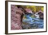 USA, Utah, Zion National Park. Stream in Autumn Landscape-Jay O'brien-Framed Photographic Print